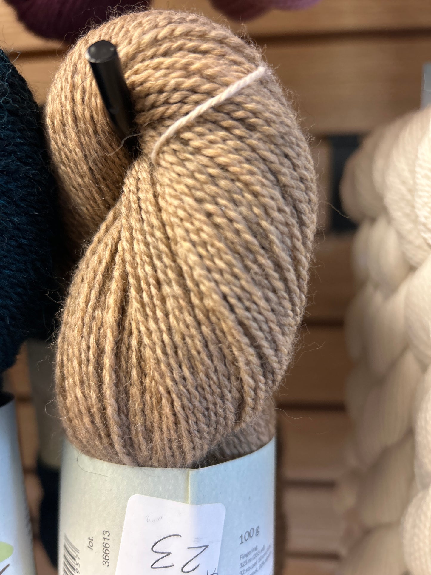 Amble wandering souls